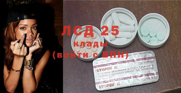 ПСИЛОЦИБИНОВЫЕ ГРИБЫ Слюдянка