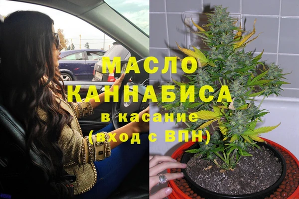 амф Сосновка