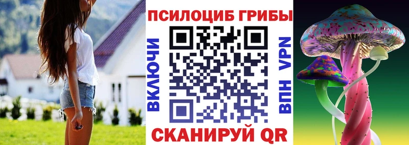 Псилоцибиновые грибы Magic Shrooms  Фокино 